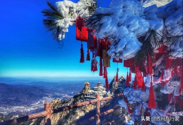 春节为什么要吃饺子游戏画面